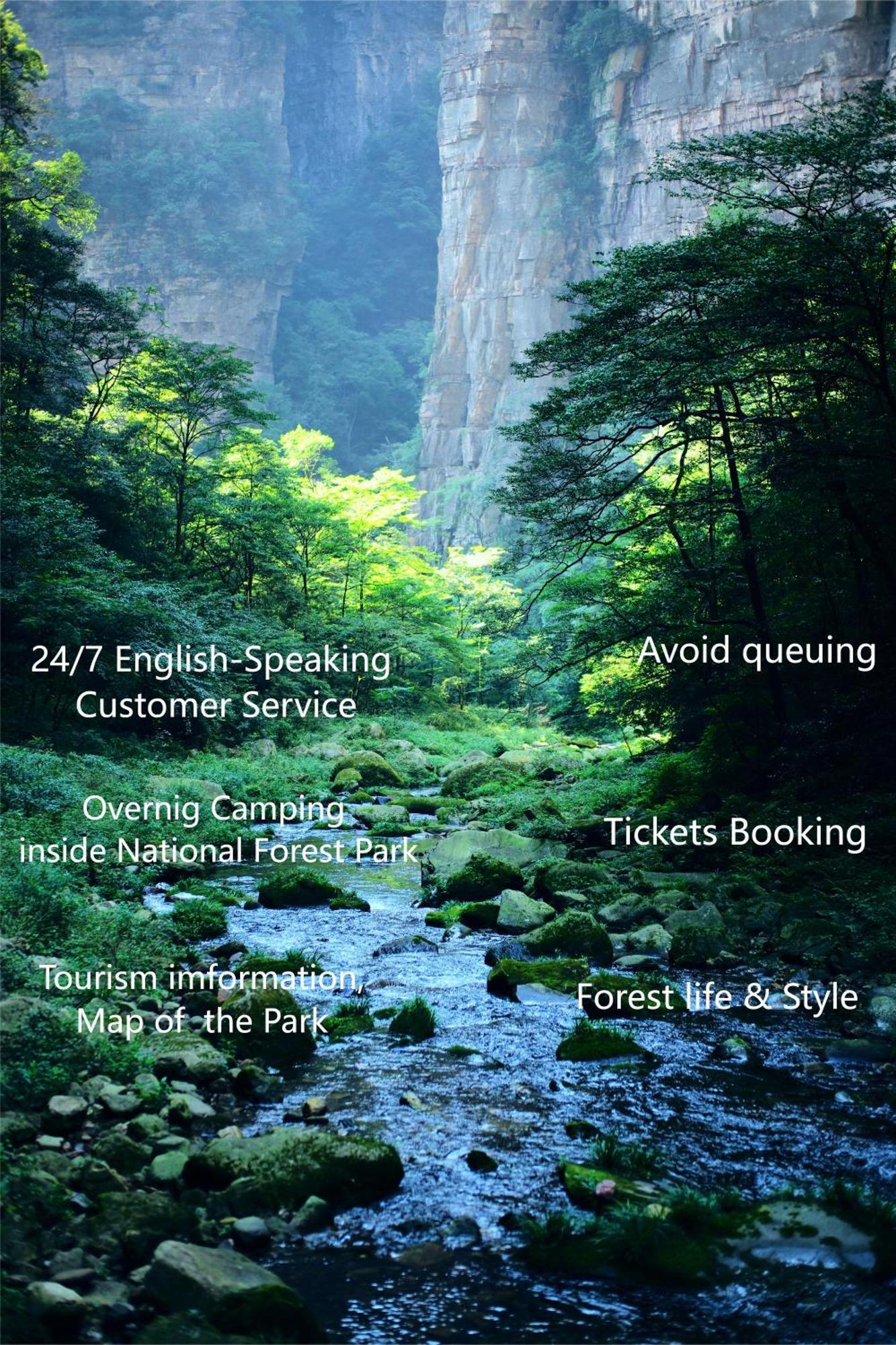 Zhangjiajie National Forest Park Camping Екстер'єр фото